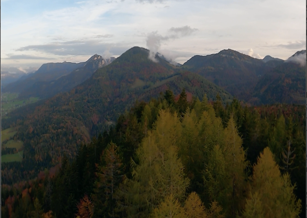 Landscape 4